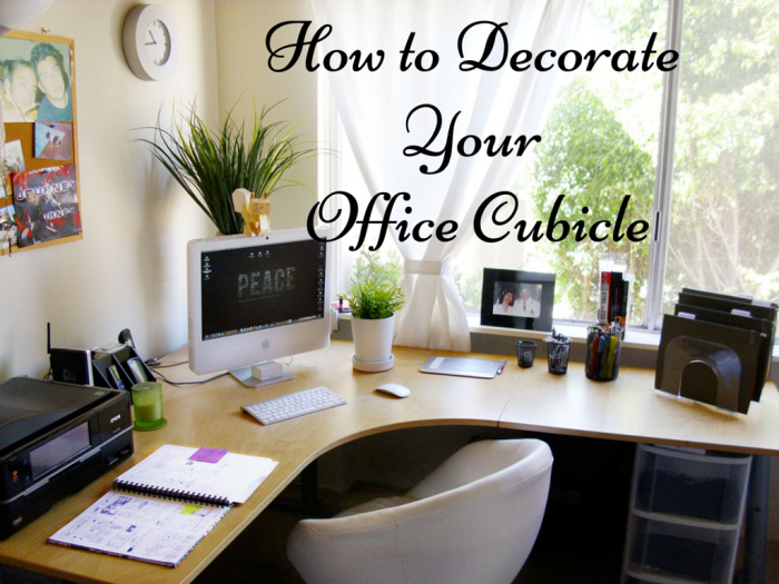 How to decorate a wework 2 person office